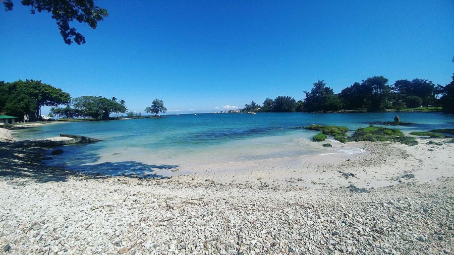 Reeds bay park snorkeling experience
