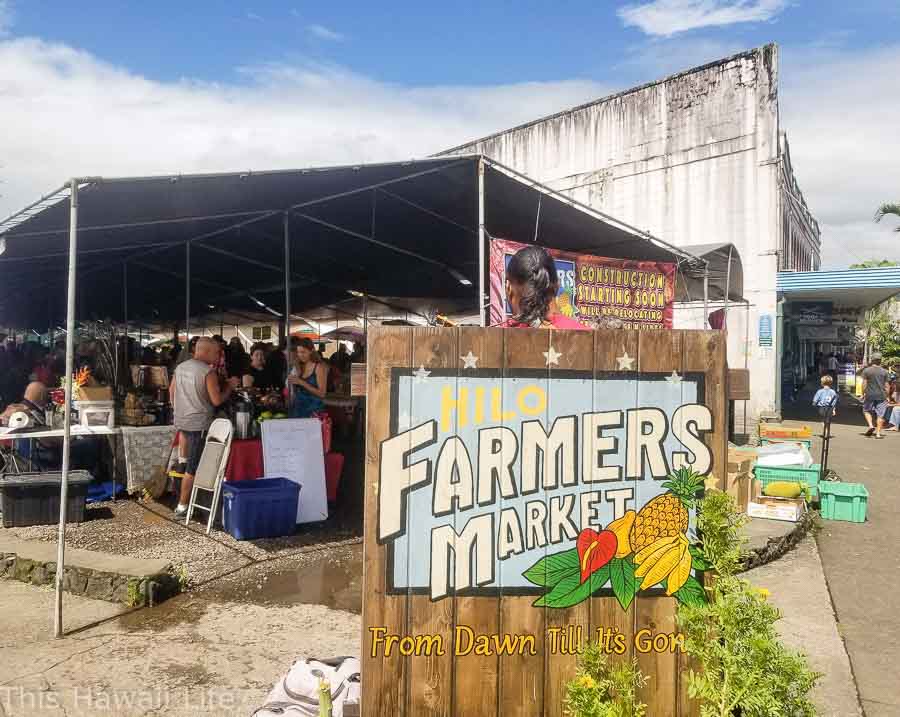 Visiting the Hilo farmers market photo shoot