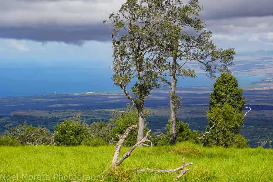 Kohala views from the cinder cone at  Pu'uwa'awa'a