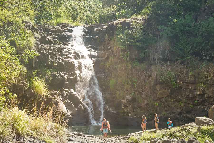 HIke to Waimea waterfall at Waimea Valley Botanical Garden