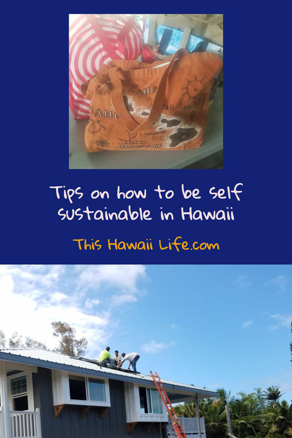 Pinterest Self Sustainable in Hawaii