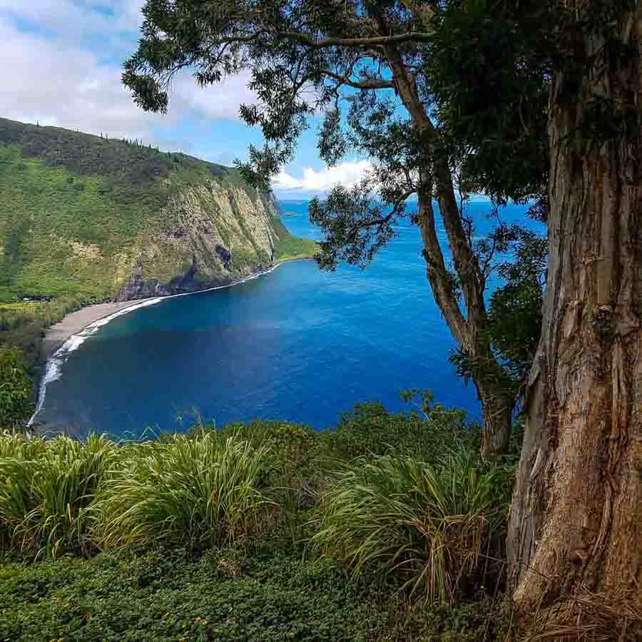Waipio lookout on the Big Island for free
