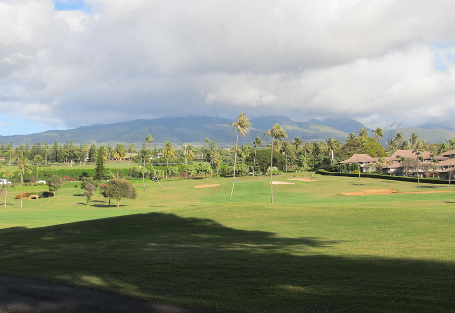 have a golf experience in Maui