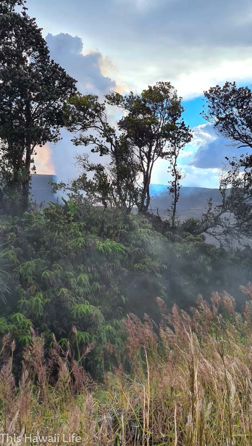 Hike the trails for different viewings of the Eruption at Kilauea here at the steam vent area