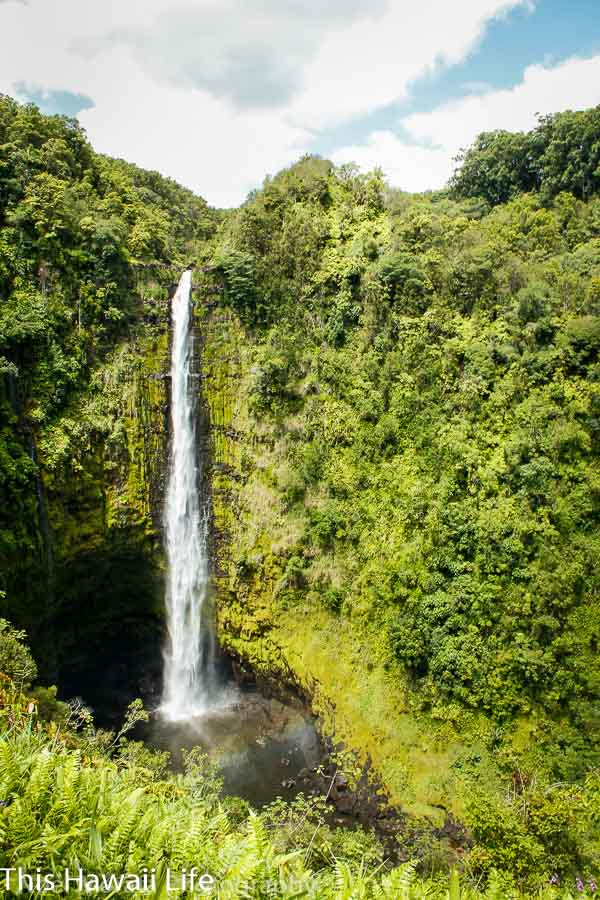 visit these Big Island waterfalls