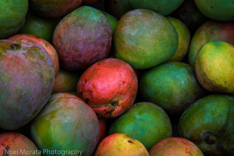 Hawaii mango and mango season 