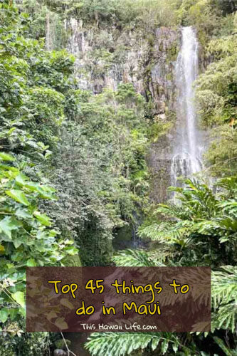 Pinterest top 45 things to do in Maui