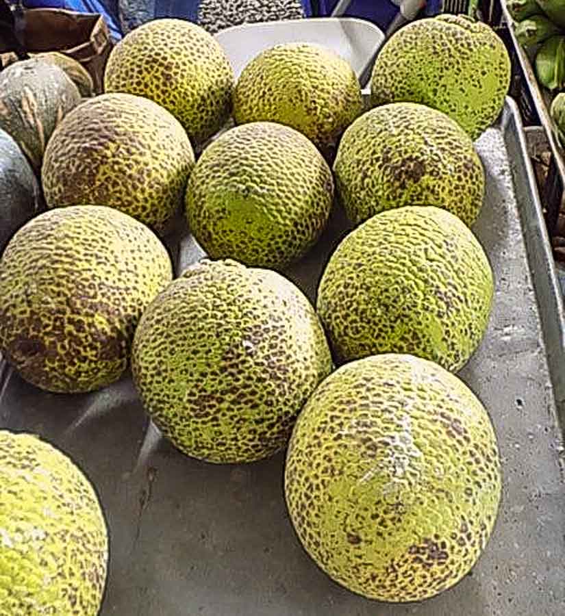 When is Breadfruit is ripe?