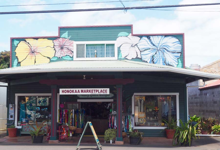 Visit to Honoka'a town