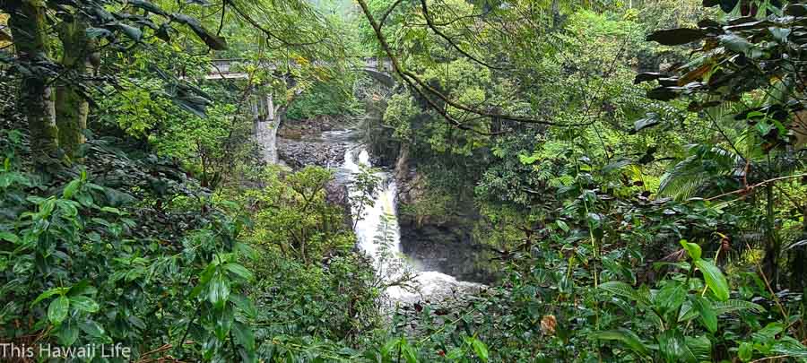 Waterfalls and bridges past Honolii