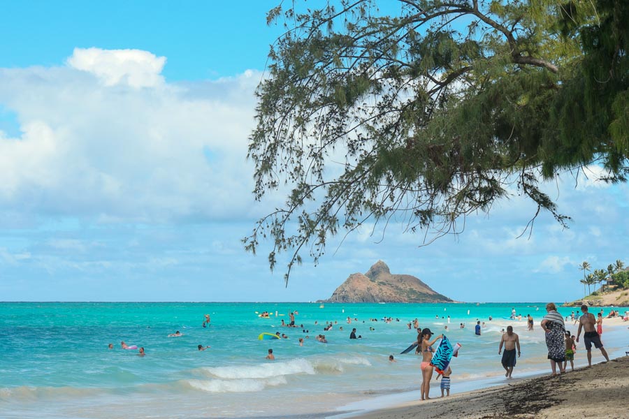  Kailua town and beach