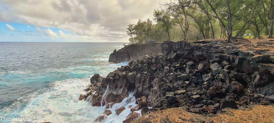 MacKenzie State Park - Puna coast Hawaii
