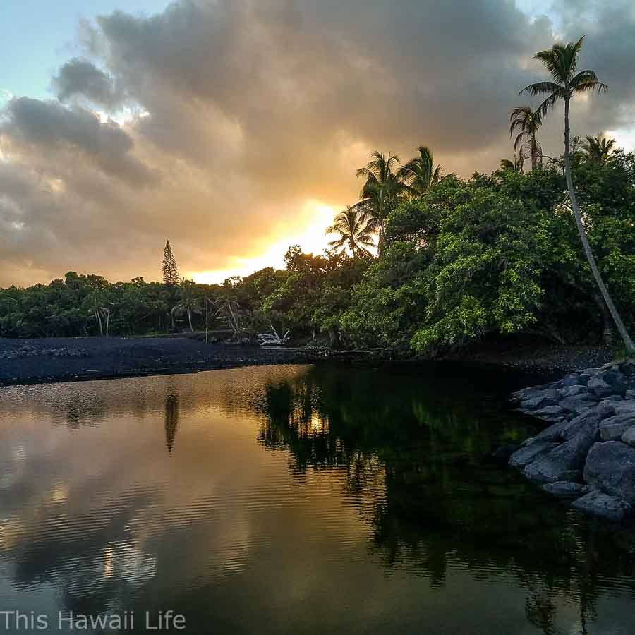 Visit to the new black sand beach at Pohoiki Beach (Isaac Hale Beach Park) and some cool hot ponds