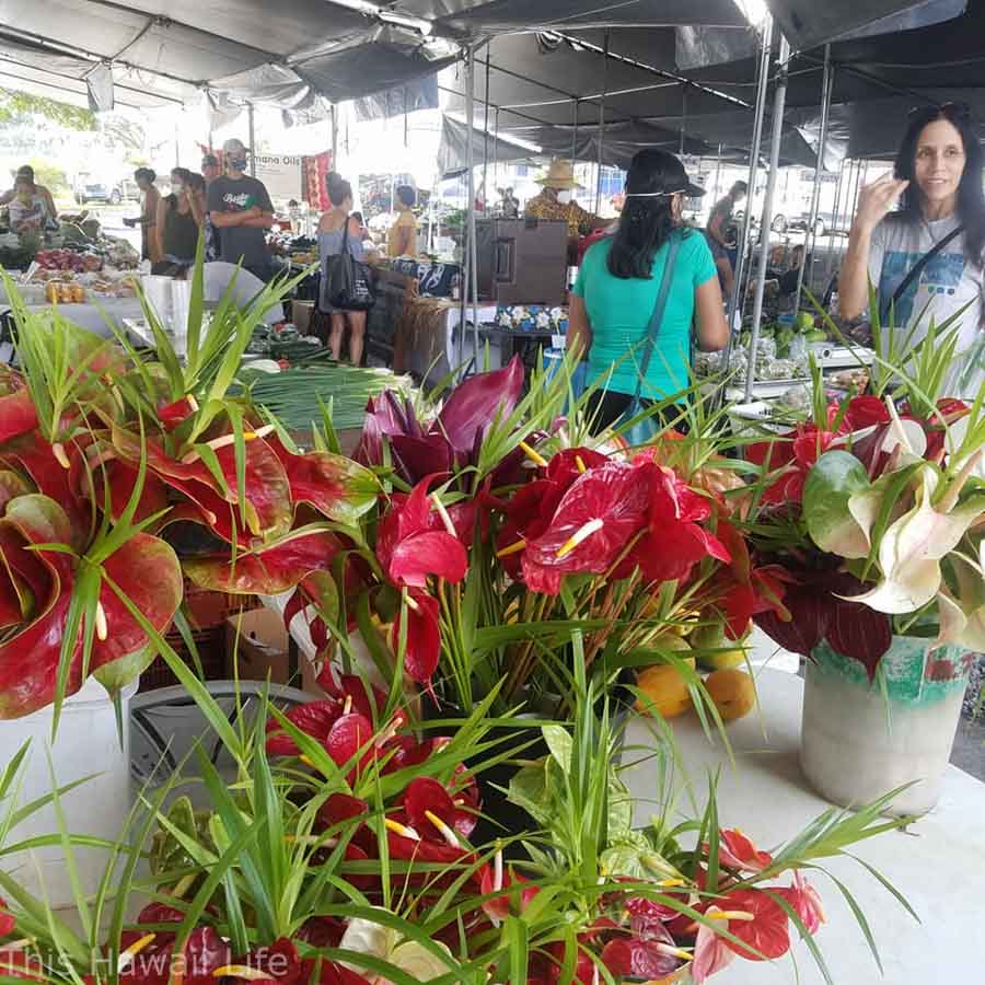 Where is the Hilo Farmers Market located?