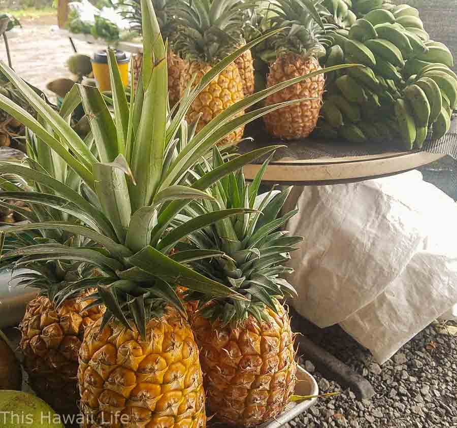 How to find that perfect sweet pineapple
