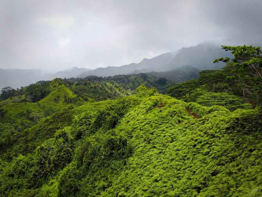 Hiking the Kuilau Ridge Trail