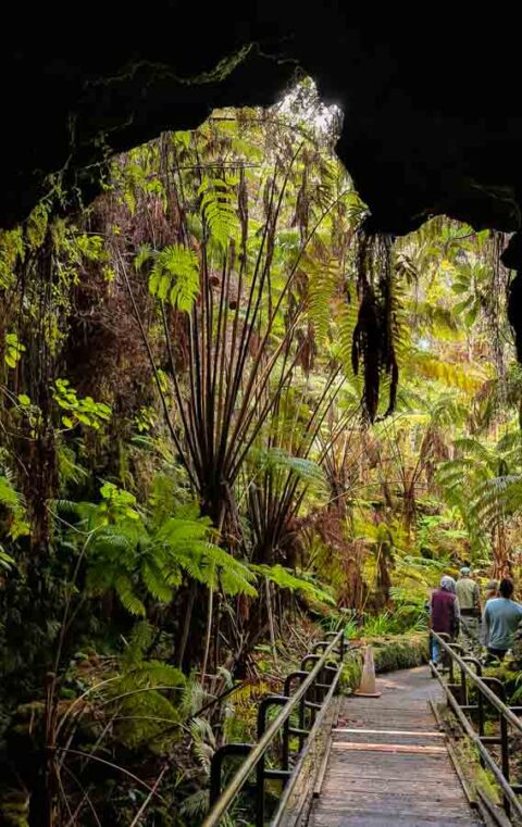 Nahuku Thurston Lava Tube - This Hawaii Life