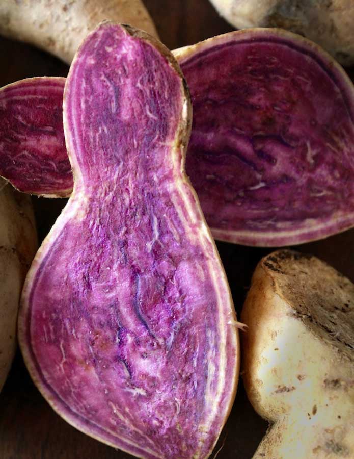 What is purple sweet potato?