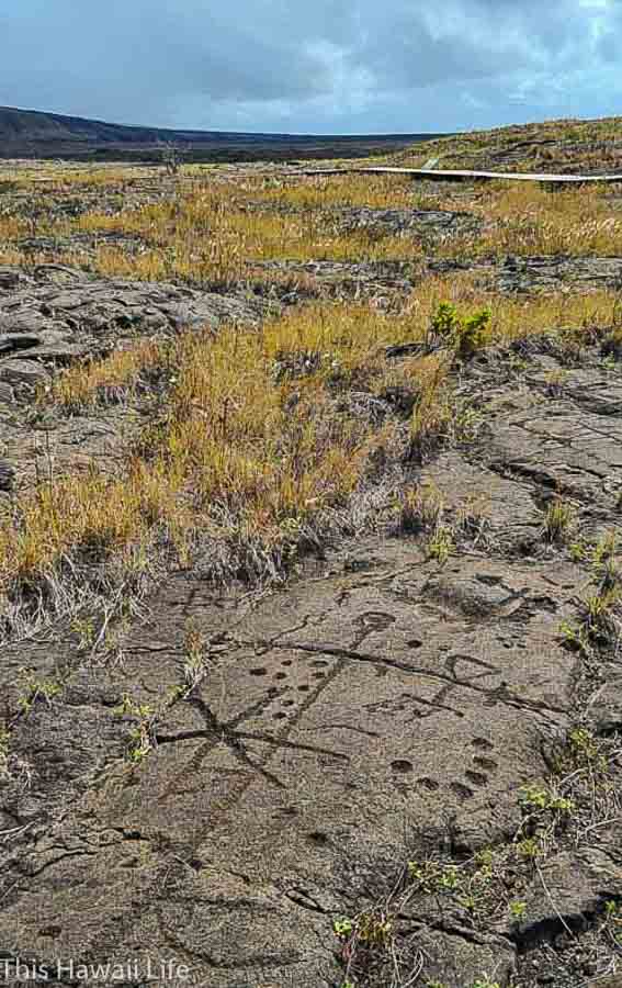 Visit to Pu’u Loa Petroglyphs at Volcanoes National Park