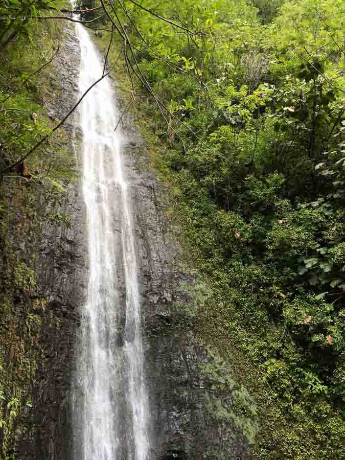 Manoa Falls Trail