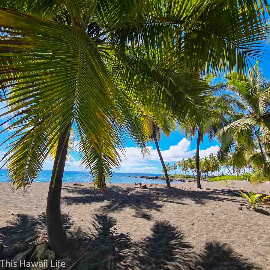 Conclusion to visiting Miloli'i and Honomalino Beach