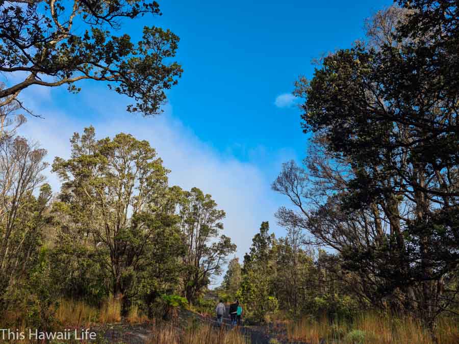 Trailhead and hike