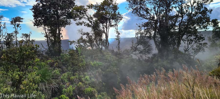. Steam vents and viewing area at Volcanoes National Park