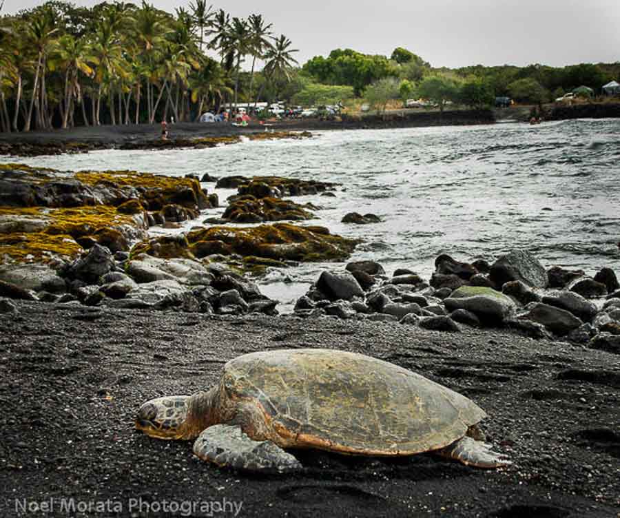 Respect the Oceans of Hawaii