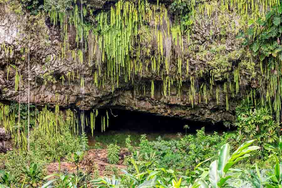 Easy cruise down the Wailua River to Fern Grotto
