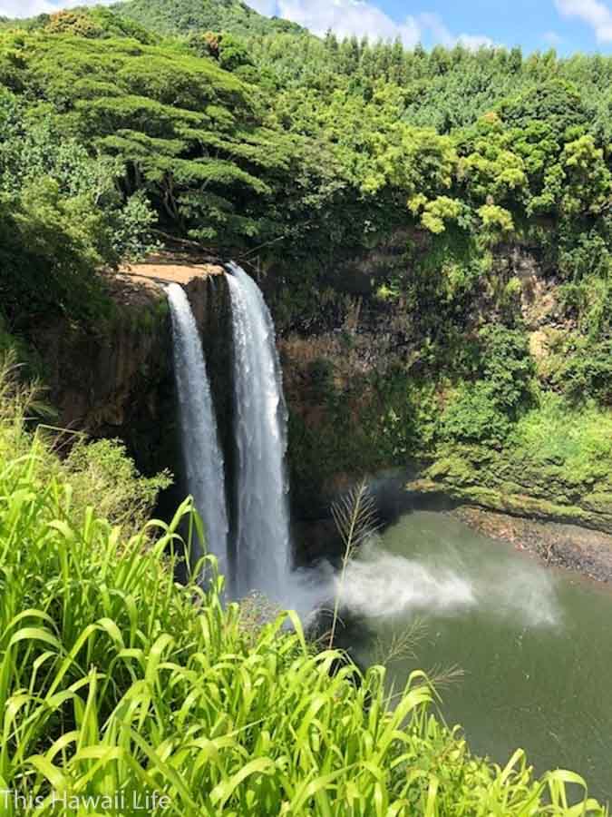 Check out the stunning waterfalls in the Eastern side of Kauai