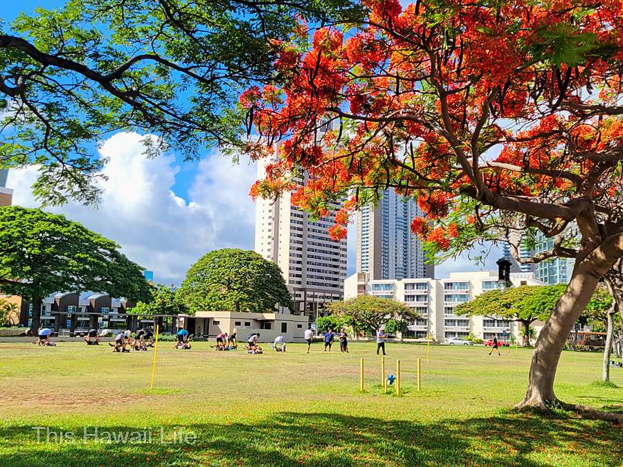 Hang out at the Kakaako waterfront park or Mother Waldron Playground
