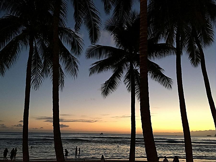 Kuhio Beach