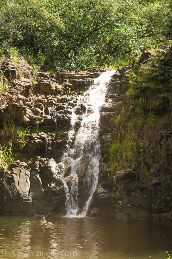 Waimea Falls