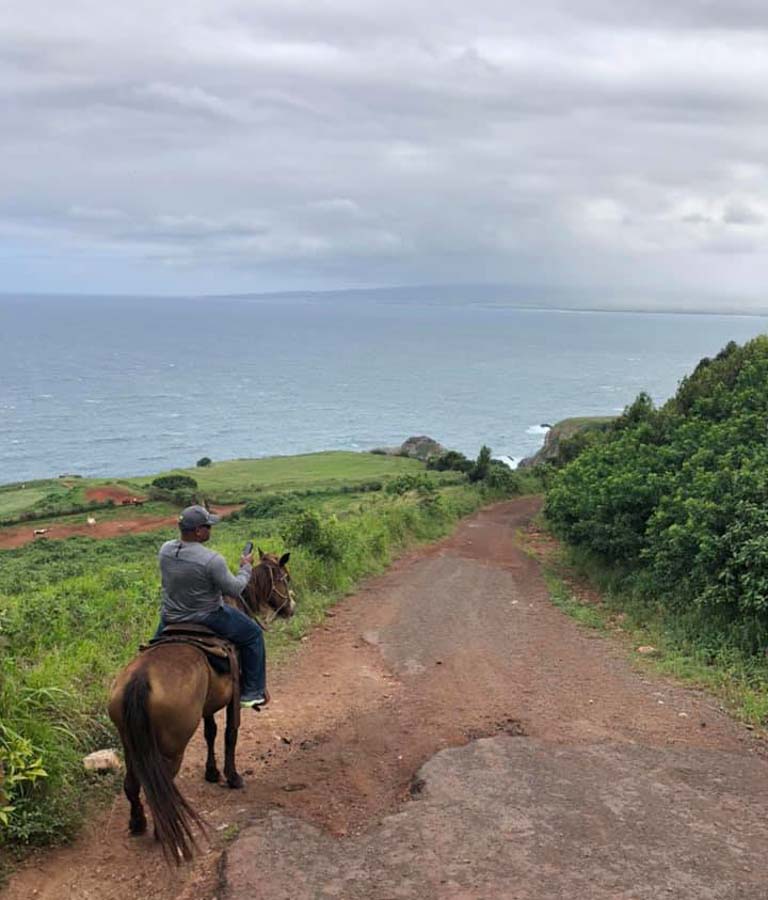 Horseback ride and picnic experience