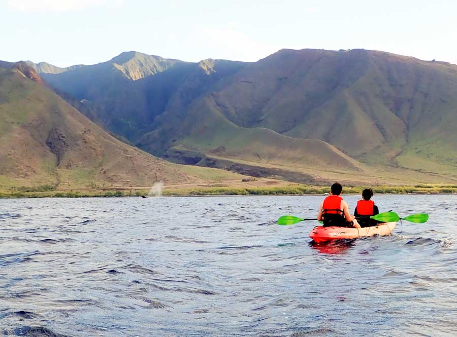 Fantastic snorkel, kayak and waterfall experience