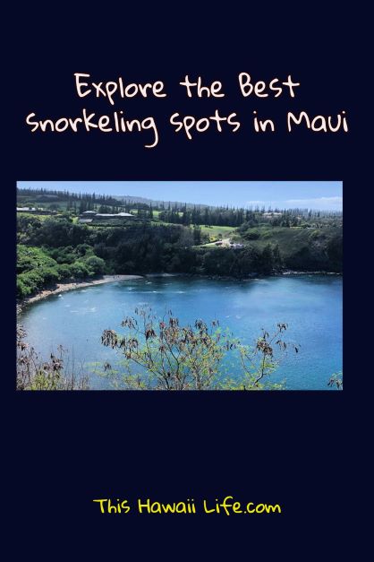 Best snorkeling spots in Maui