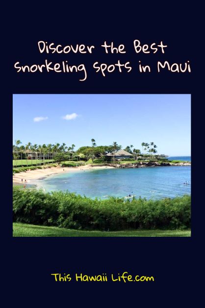 Best snorkeling spots in Maui