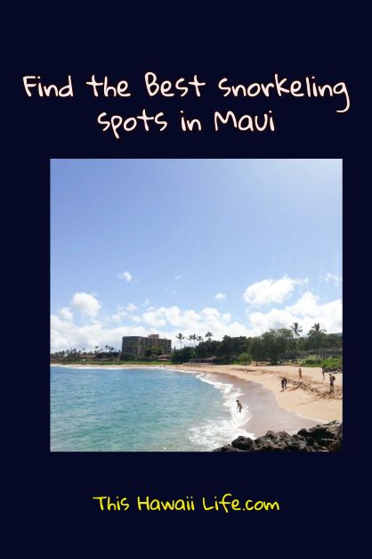 Best snorkeling spots in Maui