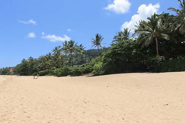 Beautiful sandy beach scene at Ehukai Beach