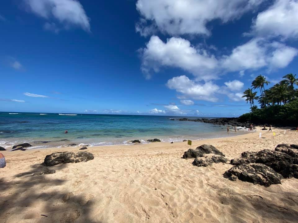 Turtle Beach on the North Shore of Oahu