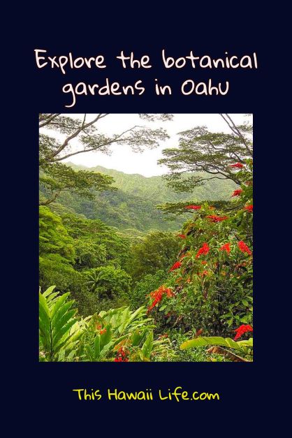 your favorite botanical garden in Oahu