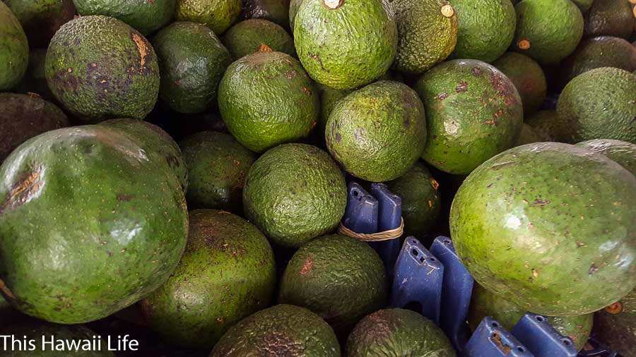 Delicious avocados in Hawaii