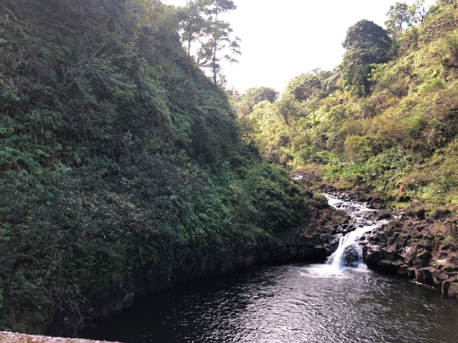 Here are some of our favorite guided tours on the Road to Hana