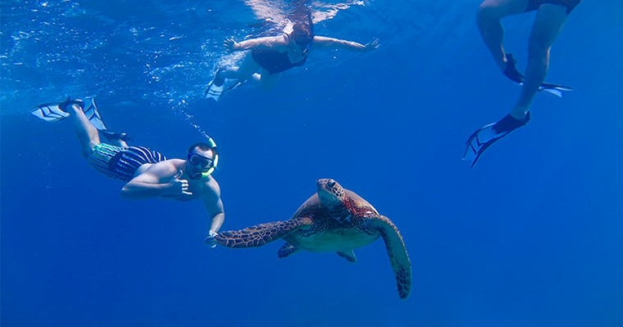 West side snorkel discovery