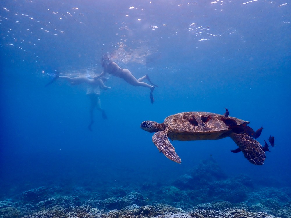 Molokini 2 tank dive