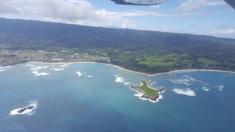 Oahu Helicopter tours