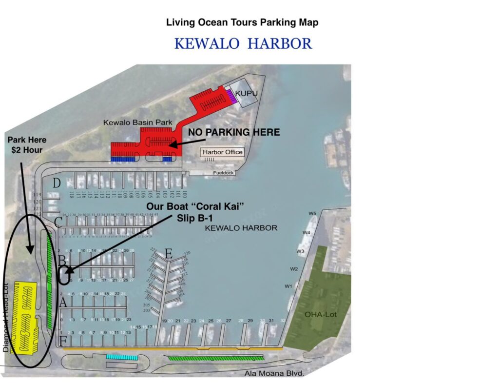 map of parking and kewalo harbor