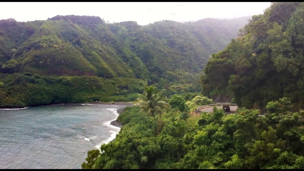 Road to Hana Maui Rainforest Waterfalls Excursion 6 Person Private Tour