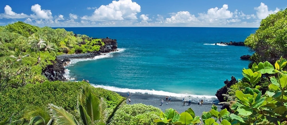 Road to Hana Maui Rainforest Waterfalls Excursion 6 Person Private Tour