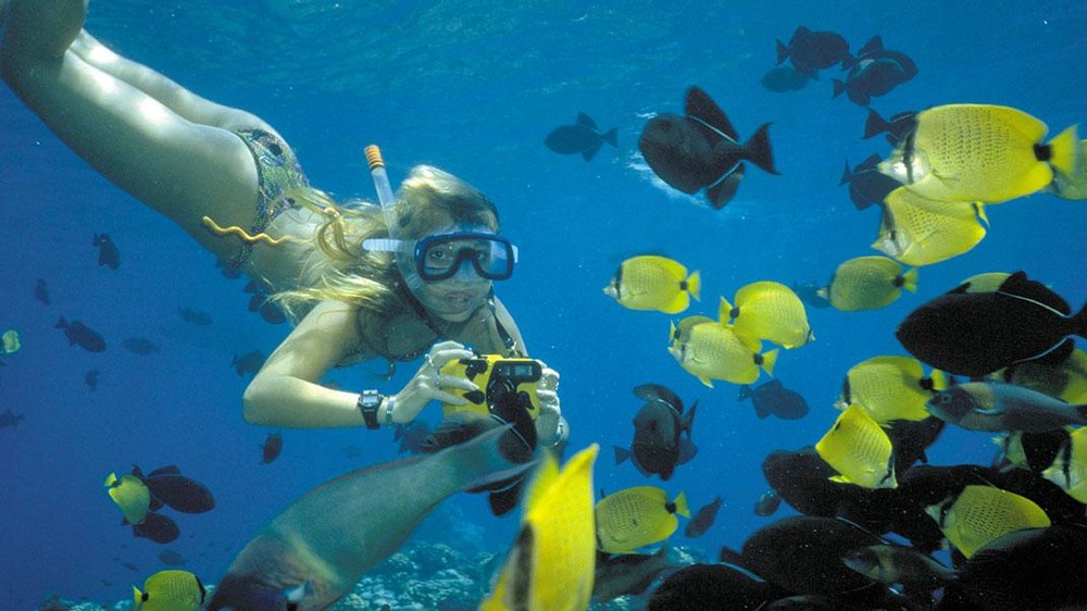 snorkeling-Molokini crater